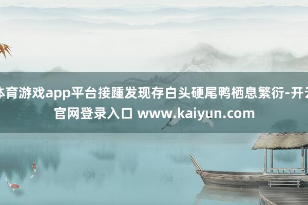 体育游戏app平台接踵发现存白头硬尾鸭栖息繁衍-开云官网登录入口 www.kaiyun.com